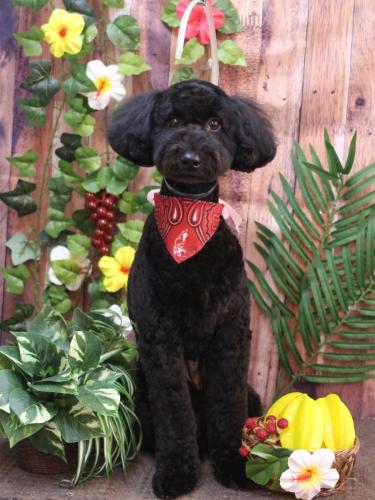 20230824アロちゃん